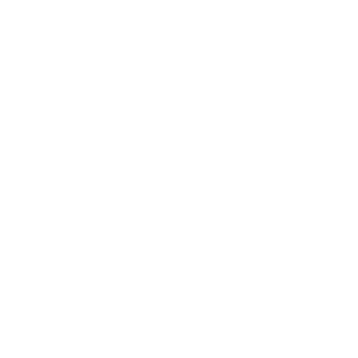 Lungs Icon