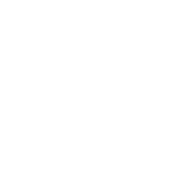 Brain Icon